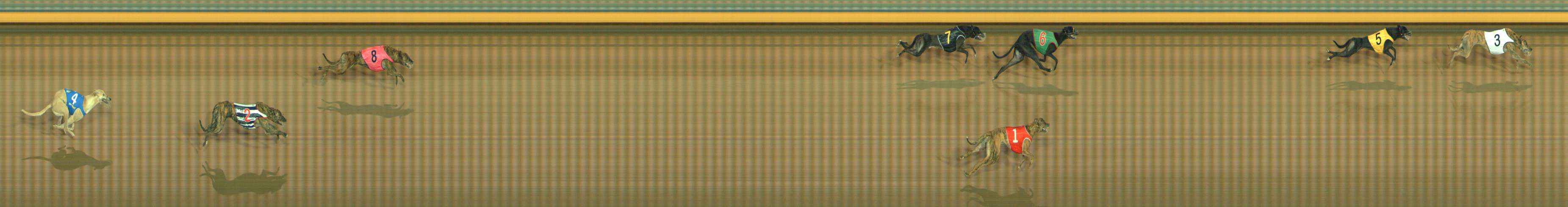 Race result finish photo